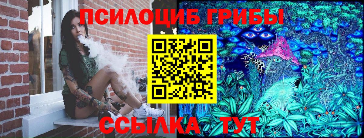 Псилоцибиновые грибы GOLDEN TEACHER Вичуга