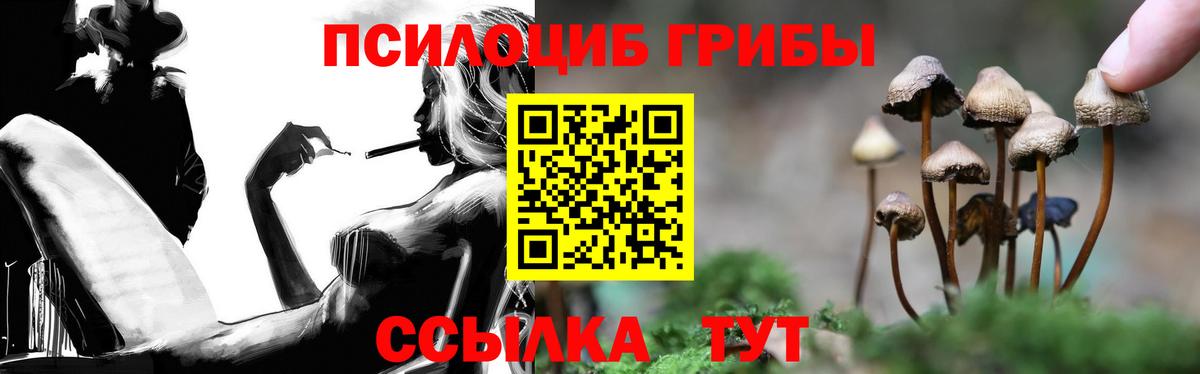 Вичуга  Галлюциногенные грибы Cubensis  Вход с VPN 